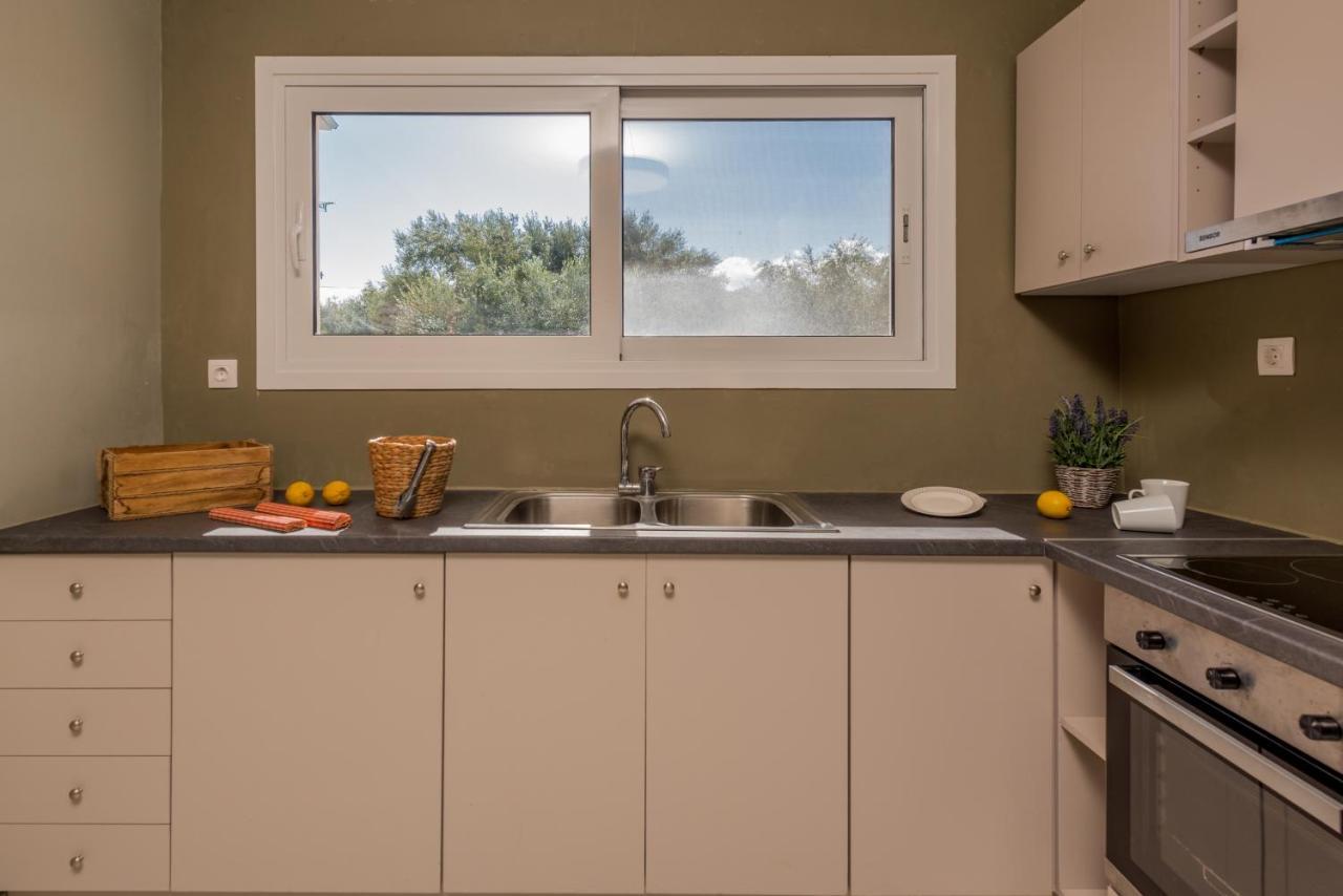 טסיליבי Asante Group Holiday Homes מראה חיצוני תמונה